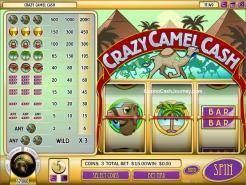 Crazy Camel Cash Slots